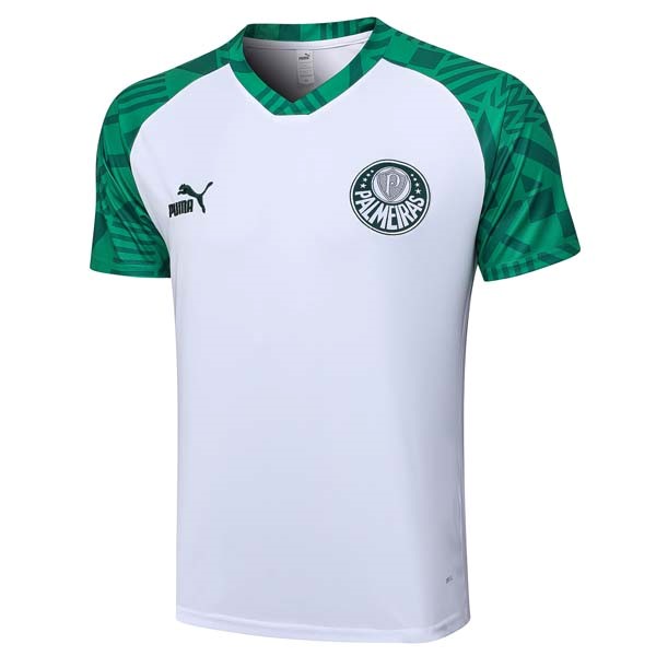 Camiseta Entrenamiento Palmeiras 2023-2024 Blanco Verde